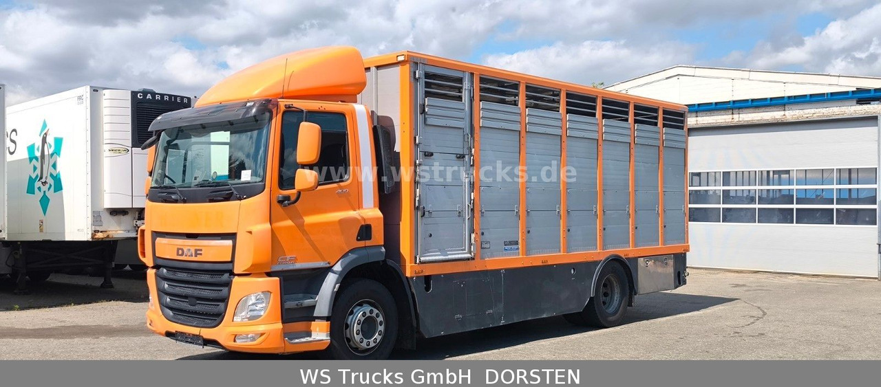 DAF CF 400 Menke Einstock Viehtransporter - 말 수송 트럭 : 사진 2 DAF CF 400 Menke Einstock Viehtransporter - 말 수송 트럭 : 사진 2