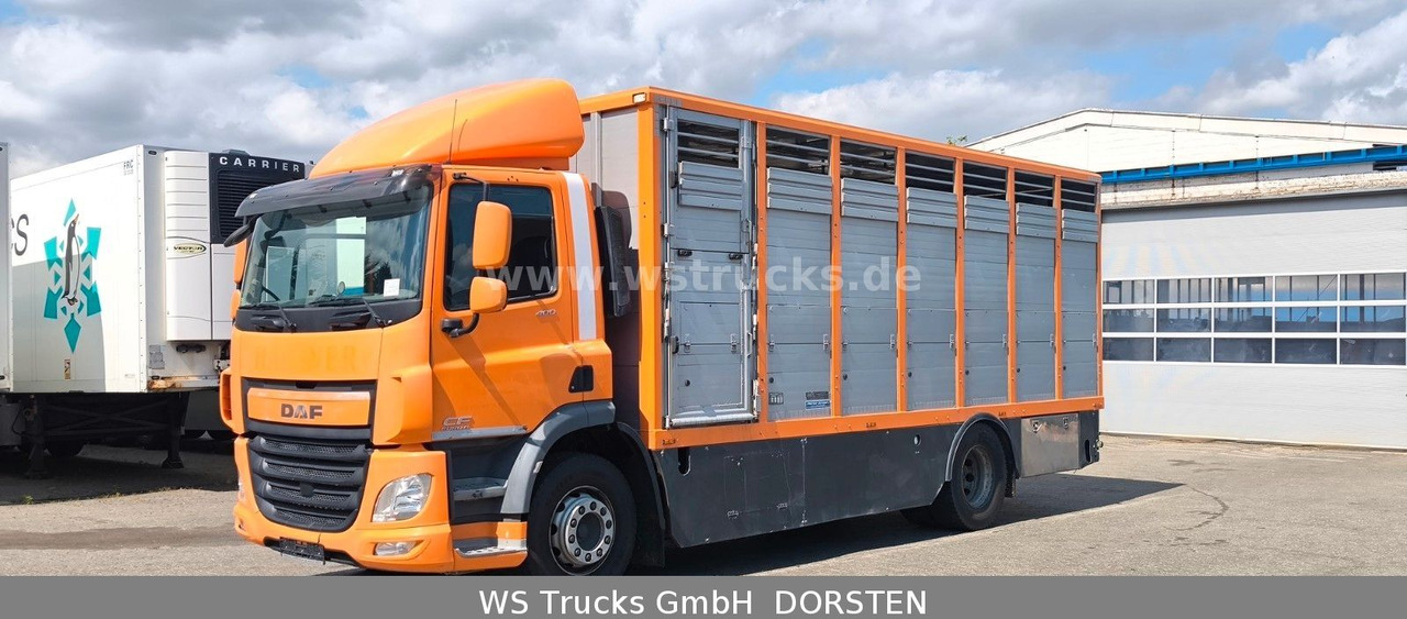 DAF CF 400 Menke Einstock - 말 수송 트럭 : 사진 3 DAF CF 400 Menke Einstock - 말 수송 트럭 : 사진 3