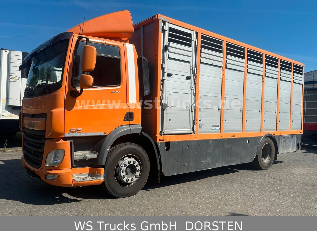 DAF CF 400 Menke Einstock - 말 수송 트럭 : 사진 1 DAF CF 400 Menke Einstock - 말 수송 트럭 : 사진 1