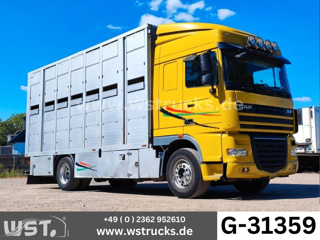 DAF XF 410 SC Menke Doppelstock - 말 수송 트럭 : 사진 1 DAF XF 410 SC Menke Doppelstock - 말 수송 트럭 : 사진 1