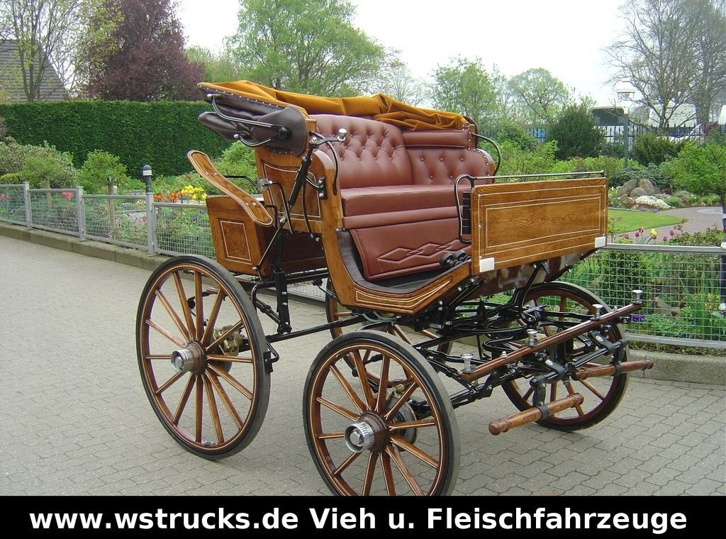Exclusiver Doktorwagen Inzahlungn. v. Pferden - 가축 트레일러 : 사진 3 Exclusiver Doktorwagen Inzahlungn. v. Pferden - 가축 트레일러 : 사진 3