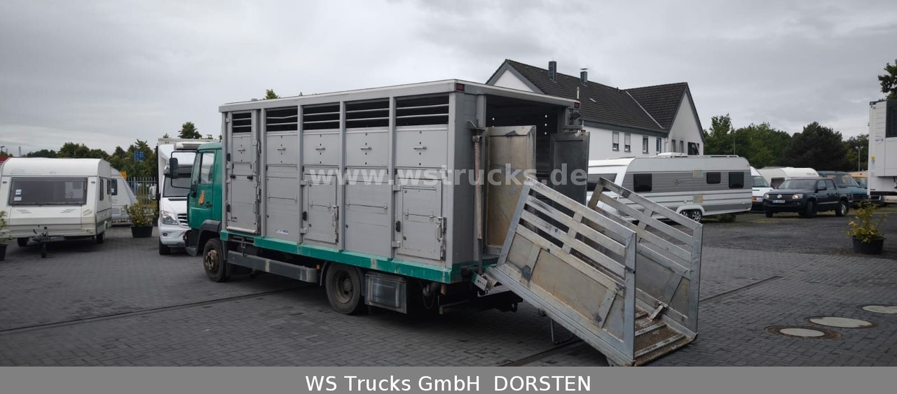 MAN LE 8.220 Menke Einstock Großvieh - 가축 트럭 : 사진 3 MAN LE 8.220 Menke Einstock Großvieh - 가축 트럭 : 사진 3