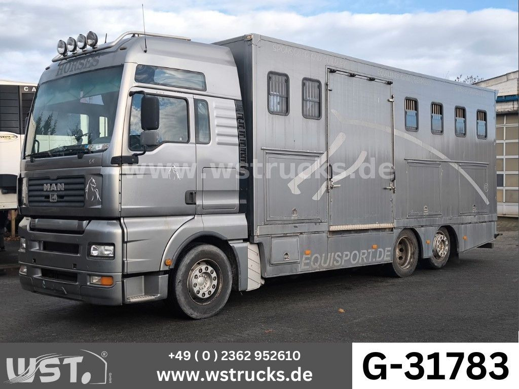 MAN TGA 26.480 FG 6x2 Pferdetransporter Luft/Luft - 말 수송 트럭 : 사진 1 MAN TGA 26.480 FG 6x2 Pferdetransporter Luft/Luft - 말 수송 트럭 : 사진 1