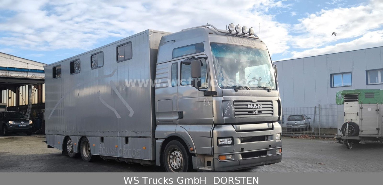 MAN TGA 26.480 FG 6x2 Pferdetransporter Luft/Luft - 말 수송 트럭 : 사진 3 MAN TGA 26.480 FG 6x2 Pferdetransporter Luft/Luft - 말 수송 트럭 : 사진 3