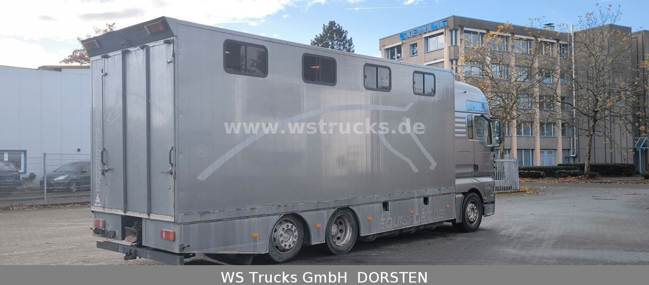 MAN TGA 26.480 FG 6x2 Pferdetransporter Luft/Luft - 말 수송 트럭 : 사진 4 MAN TGA 26.480 FG 6x2 Pferdetransporter Luft/Luft - 말 수송 트럭 : 사진 4