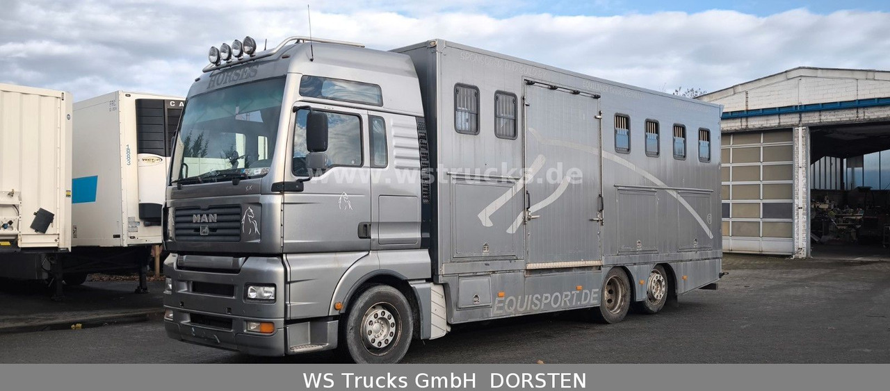 MAN TGA 26.480 FG 6x2 Pferdetransporter Luft/Luft - 말 수송 트럭 : 사진 2 MAN TGA 26.480 FG 6x2 Pferdetransporter Luft/Luft - 말 수송 트럭 : 사진 2