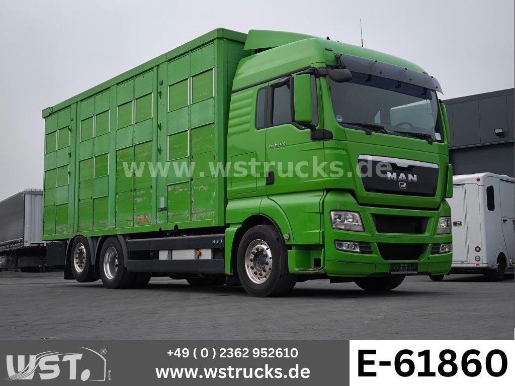 MAN TGX 26.480 XL KABA 3 Stock Vollalu - 말 수송 트럭 : 사진 1 MAN TGX 26.480 XL KABA 3 Stock Vollalu - 말 수송 트럭 : 사진 1
