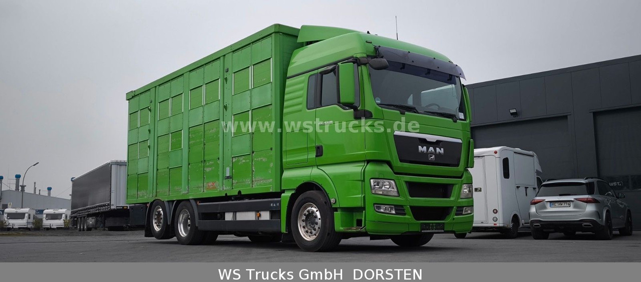 MAN TGX 26.480 XL KABA 3 Stock Vollalu - 말 수송 트럭 : 사진 4 MAN TGX 26.480 XL KABA 3 Stock Vollalu - 말 수송 트럭 : 사진 4