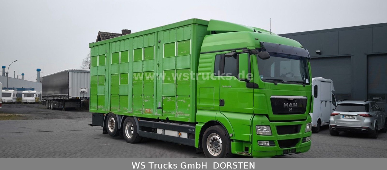 MAN TGX 26.480 XL KABA 3 Stock Vollalu - 말 수송 트럭 : 사진 3 MAN TGX 26.480 XL KABA 3 Stock Vollalu - 말 수송 트럭 : 사진 3
