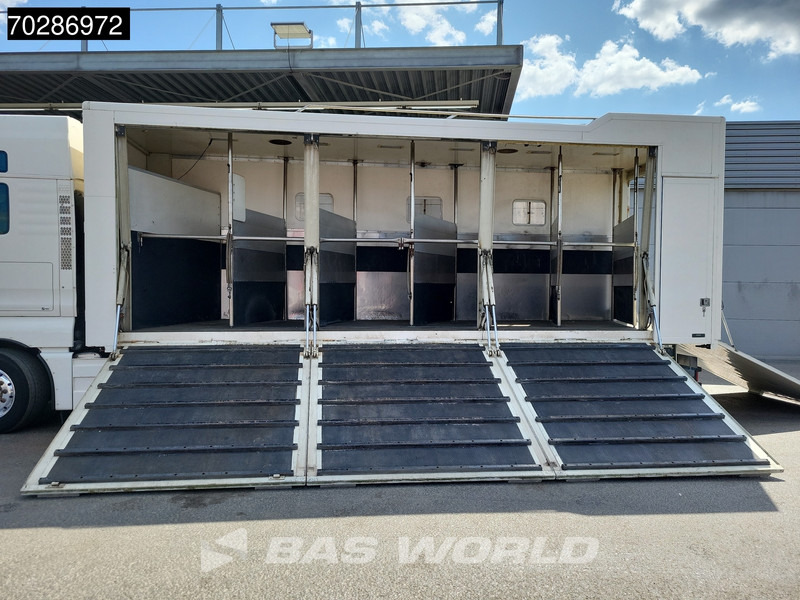 MAN TGX 26.480 TGX 6X2 NL-Truck BDF HorseTransport Lift+steering axle Standklima Automatic Xenon Alcoa´s Euro 5 - 컨테이너 운반 장치/ 스와프 보디 트럭 : 사진 3 MAN TGX 26.480 TGX 6X2 NL-Truck BDF HorseTransport Lift+steering axle Standklima Automatic Xenon Alcoa´s Euro 5 - 컨테이너 운반 장치/ 스와프 보디 트럭 : 사진 3