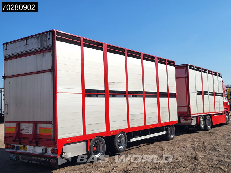 Scania G420 6X2 Cattle transport combi Liftable floor Lift-Asche Euro 5 - 박스 트럭 : 사진 5 Scania G420 6X2 Cattle transport combi Liftable floor Lift-Asche Euro 5 - 박스 트럭 : 사진 5