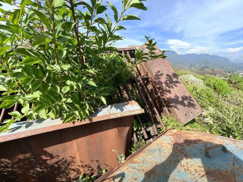 스크리너 Powerscreen SAUTERELLE : 사진 15