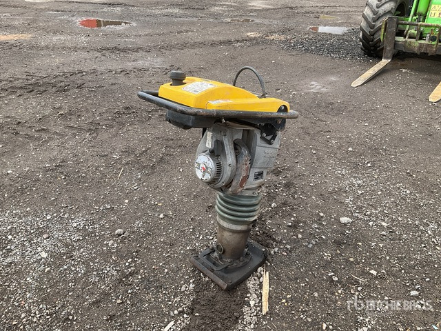 2021 Wacker Neuson BS60-2I Jumping Jack Tamper - 래머 : 사진 4 2021 Wacker Neuson BS60-2I Jumping Jack Tamper - 래머 : 사진 4