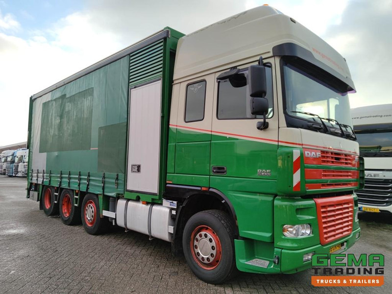 DAF FAK XF95.430 8x2 SuperSpaceCab Euro3 - CurtainSider 7.31m + Ramp 16T - MachineTransporter - 6 Persons  (V558) - 자동 운반 장치 트럭 : 사진 3 DAF FAK XF95.430 8x2 SuperSpaceCab Euro3 - CurtainSider 7.31m + Ramp 16T - MachineTransporter - 6 Persons  (V558) - 자동 운반 장치 트럭 : 사진 3