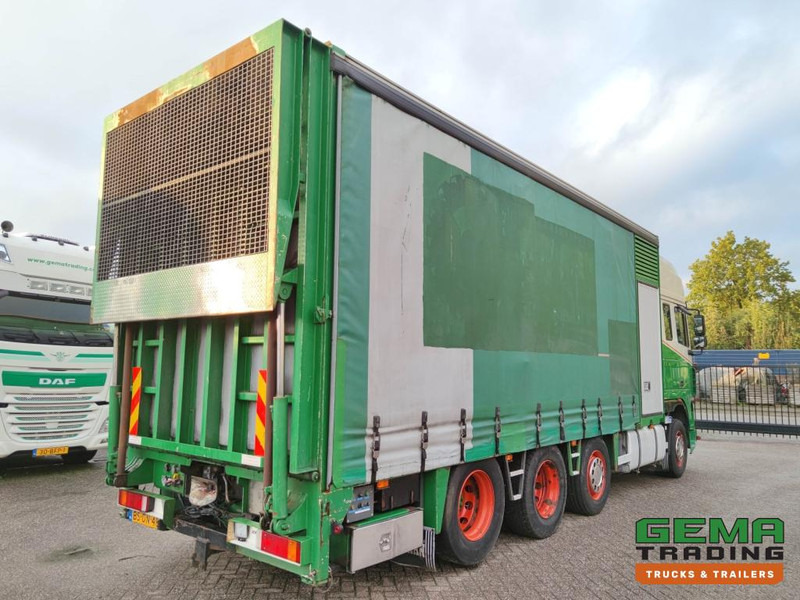 DAF FAK XF95.430 8x2 SuperSpaceCab Euro3 - CurtainSider 7.31m + Ramp 16T - MachineTransporter - 6 Persons  (V558) - 자동 운반 장치 트럭 : 사진 4 DAF FAK XF95.430 8x2 SuperSpaceCab Euro3 - CurtainSider 7.31m + Ramp 16T - MachineTransporter - 6 Persons  (V558) - 자동 운반 장치 트럭 : 사진 4