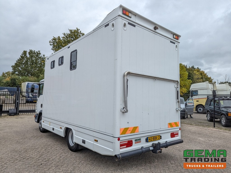 MAN TGL 12.250 4x2 Euro5 EEV RC HorseTruck - 2a3 Paards - 135.000km - MARGE (V821) - 말 수송 트럭 : 사진 4 MAN TGL 12.250 4x2 Euro5 EEV RC HorseTruck - 2a3 Paards - 135.000km - MARGE (V821) - 말 수송 트럭 : 사진 4