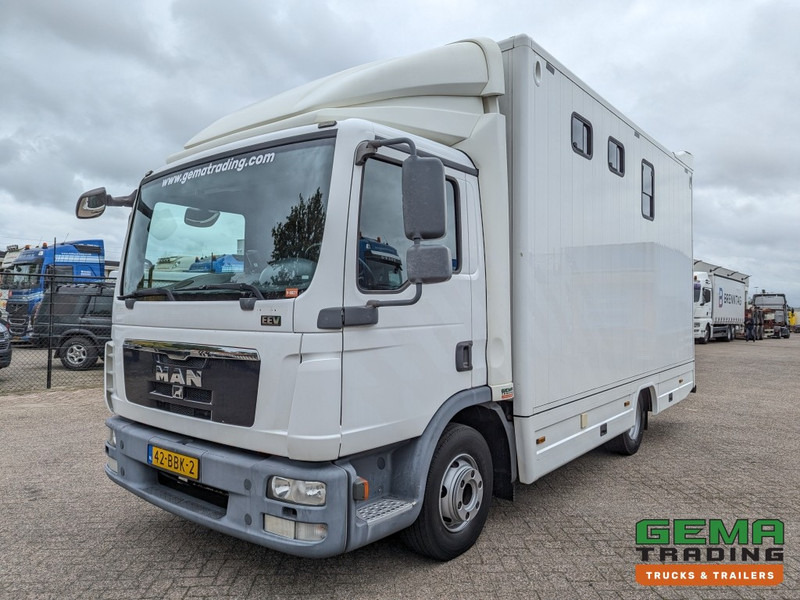 MAN TGL 12.250 4x2 Euro5 EEV RC HorseTruck - 2a3 Paards - 135.000km - MARGE (V821) - 말 수송 트럭 : 사진 2 MAN TGL 12.250 4x2 Euro5 EEV RC HorseTruck - 2a3 Paards - 135.000km - MARGE (V821) - 말 수송 트럭 : 사진 2