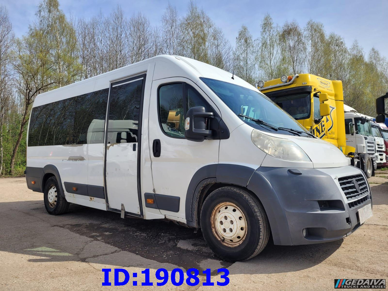 FIAT Ducato - VIP - 17 Seater - 대형 버스 : 사진 4 FIAT Ducato - VIP - 17 Seater - 대형 버스 : 사진 4