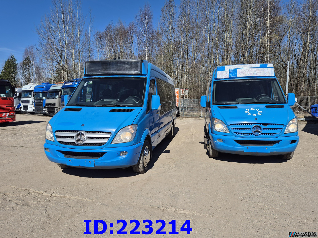 MERCEDES-BENZ Sprinter 316 VIP Euro5 (2pcs. available) - 대형 버스 : 사진 2 MERCEDES-BENZ Sprinter 316 VIP Euro5 (2pcs. available) - 대형 버스 : 사진 2