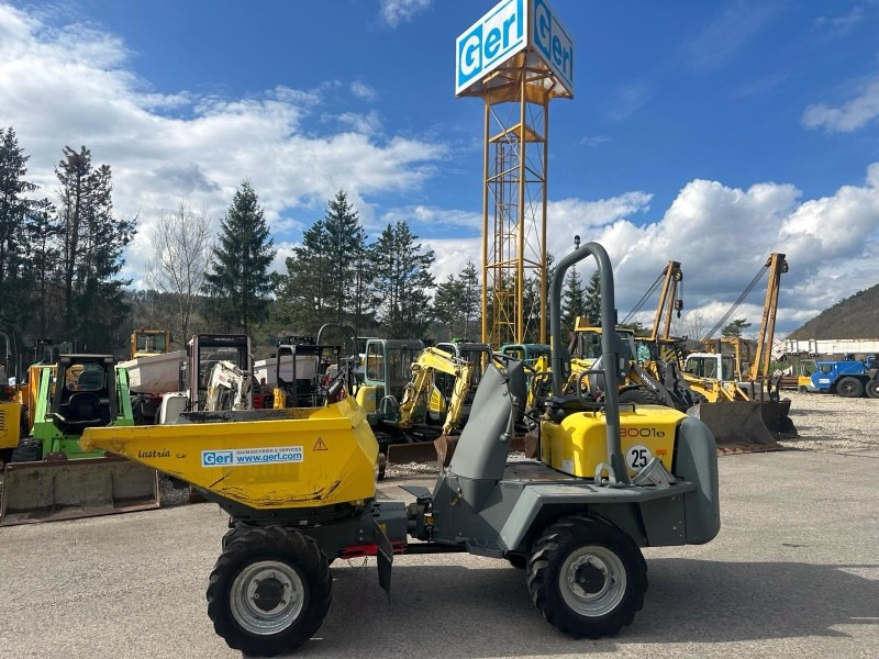 Neuson 3001 (3861) - 미니 덤프 : 사진 1 Neuson 3001 (3861) - 미니 덤프 : 사진 1