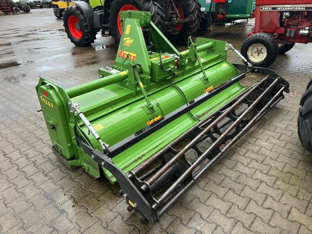 Celli Tiger 190 frees - 해로 : 사진 5 Celli Tiger 190 frees - 해로 : 사진 5