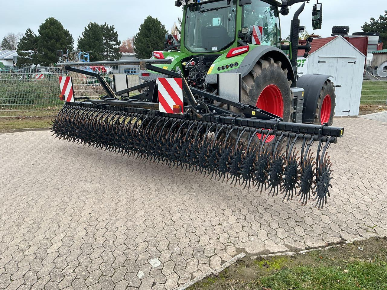 / Agriser Sternhacke - 해로 : 사진 2 / Agriser Sternhacke - 해로 : 사진 2