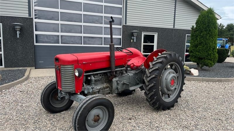 Massey Ferguson 65 Med nye dæk - 장궤형 트랙터 : 사진 2 Massey Ferguson 65 Med nye dæk - 장궤형 트랙터 : 사진 2
