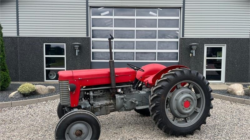 Massey Ferguson 65 Med nye dæk - 장궤형 트랙터 : 사진 1 Massey Ferguson 65 Med nye dæk - 장궤형 트랙터 : 사진 1