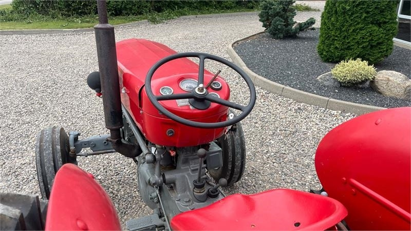 Massey Ferguson 65 Med nye dæk - 장궤형 트랙터 : 사진 5 Massey Ferguson 65 Med nye dæk - 장궤형 트랙터 : 사진 5