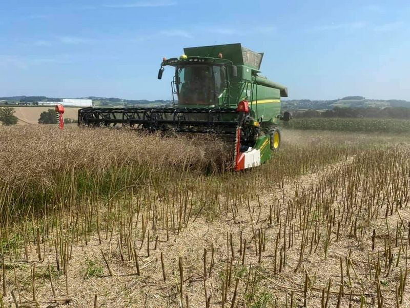 Cressoni CRX 6,6m Sojaflex - 목초수확기 부착물 : 사진 3 Cressoni CRX 6,6m Sojaflex - 목초수확기 부착물 : 사진 3