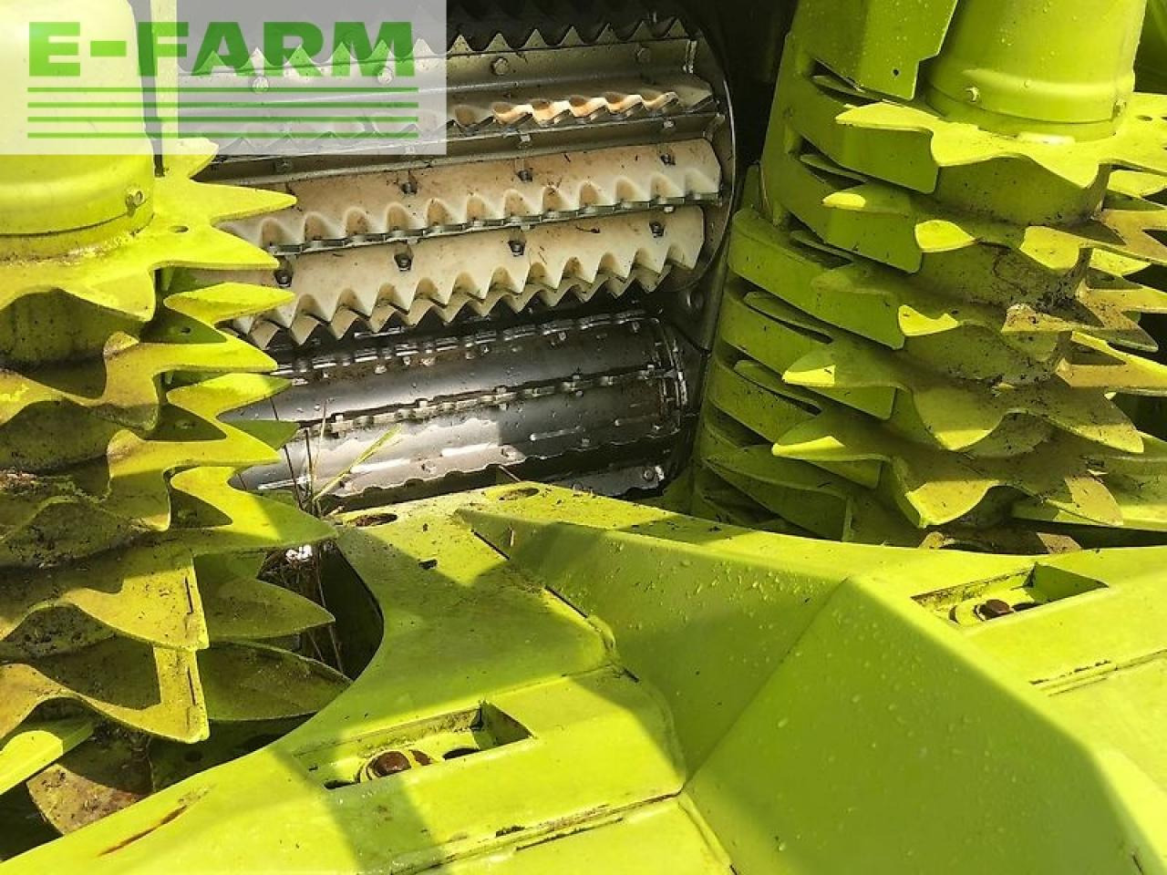 콤바인 헤더 트레일러 CLAAS orbis 450 : 사진 18
