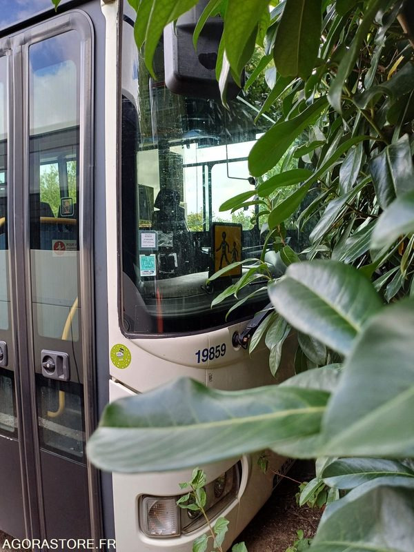 CAR IRISBUS RECREO - PARC 18734 - MEC 05/2010 -425000Km / AS-671-WX - 스쿨버스 : 사진 1 CAR IRISBUS RECREO - PARC 18734 - MEC 05/2010 -425000Km / AS-671-WX - 스쿨버스 : 사진 1
