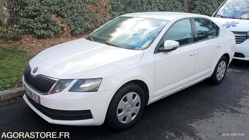 EP-729-TL - Non Roulant - SKODA OCTAVIA - VP - 349 390 Kms - 차량 : 사진 1 EP-729-TL - Non Roulant - SKODA OCTAVIA - VP - 349 390 Kms - 차량 : 사진 1