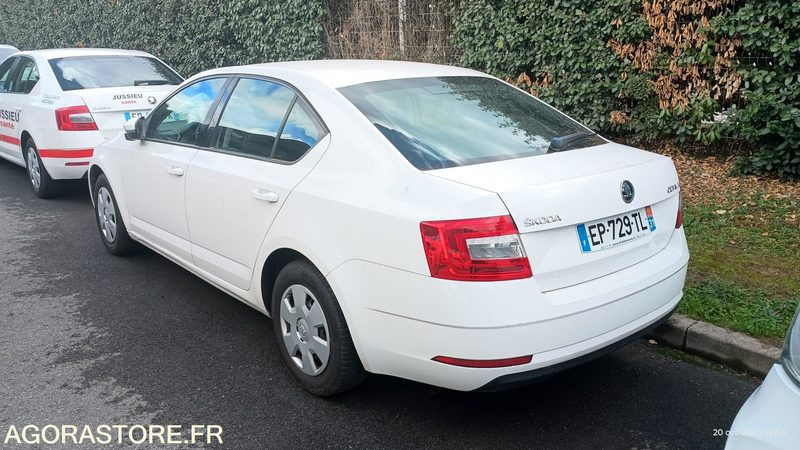 EP-729-TL - Non Roulant - SKODA OCTAVIA - VP - 349 390 Kms - 차량 : 사진 3 EP-729-TL - Non Roulant - SKODA OCTAVIA - VP - 349 390 Kms - 차량 : 사진 3