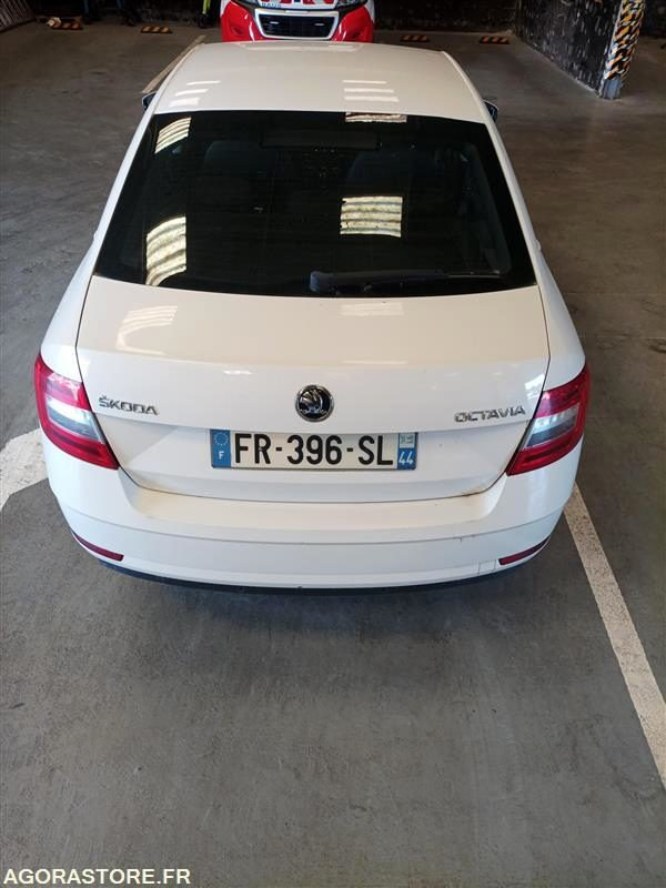FR-396-SL - Roulant - SKODA OCTAVIA - VP- 264 645 Kms - 차량 : 사진 4 FR-396-SL - Roulant - SKODA OCTAVIA - VP- 264 645 Kms - 차량 : 사진 4