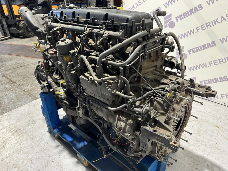 DAF XF480 - 엔진 트럭 용 : 사진 3 DAF XF480 - 엔진 트럭 용 : 사진 3
