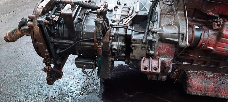 ZF 6S1600 - 기어박스 : 사진 5 ZF 6S1600 - 기어박스 : 사진 5