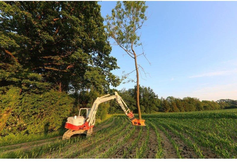 Westtech Woodcracker CL 260 - 펠링 헤드 : 사진 5 Westtech Woodcracker CL 260 - 펠링 헤드 : 사진 5