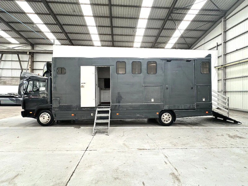 Mercedes-Benz 1117 MOBILE HOME / TRANSPORT DE CHEVAUX /HORSE TRUCK - 가축 트럭 : 사진 2 Mercedes-Benz 1117 MOBILE HOME / TRANSPORT DE CHEVAUX /HORSE TRUCK - 가축 트럭 : 사진 2