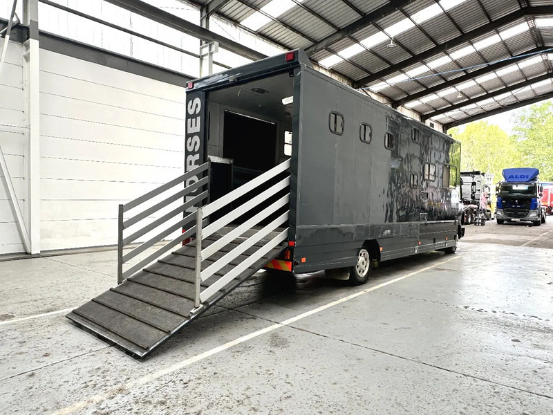 Mercedes-Benz 1117 MOBILE HOME / TRANSPORT DE CHEVAUX /HORSE TRUCK - 가축 트럭 : 사진 5 Mercedes-Benz 1117 MOBILE HOME / TRANSPORT DE CHEVAUX /HORSE TRUCK - 가축 트럭 : 사진 5