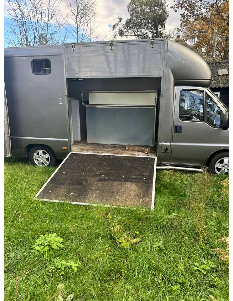 1999 FIAT DUCATO MAXI 18 2.8 ID 598-140 HORSE TRUCK - 밴 : 사진 2 1999 FIAT DUCATO MAXI 18 2.8 ID 598-140 HORSE TRUCK - 밴 : 사진 2