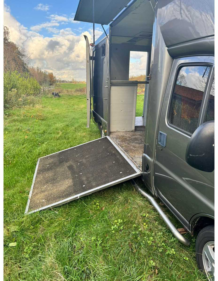 1999 FIAT DUCATO MAXI 18 2.8 ID 598-140 HORSE TRUCK - 밴 : 사진 5 1999 FIAT DUCATO MAXI 18 2.8 ID 598-140 HORSE TRUCK - 밴 : 사진 5