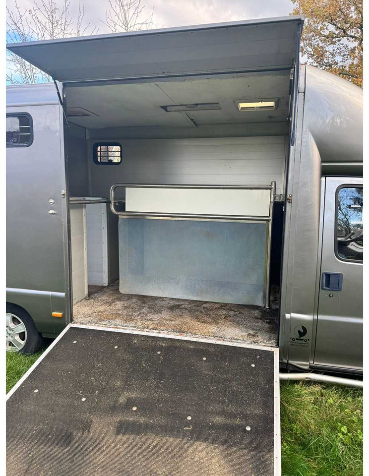 1999 FIAT DUCATO MAXI 18 2.8 ID 598-140 HORSE TRUCK - 밴 : 사진 3 1999 FIAT DUCATO MAXI 18 2.8 ID 598-140 HORSE TRUCK - 밴 : 사진 3