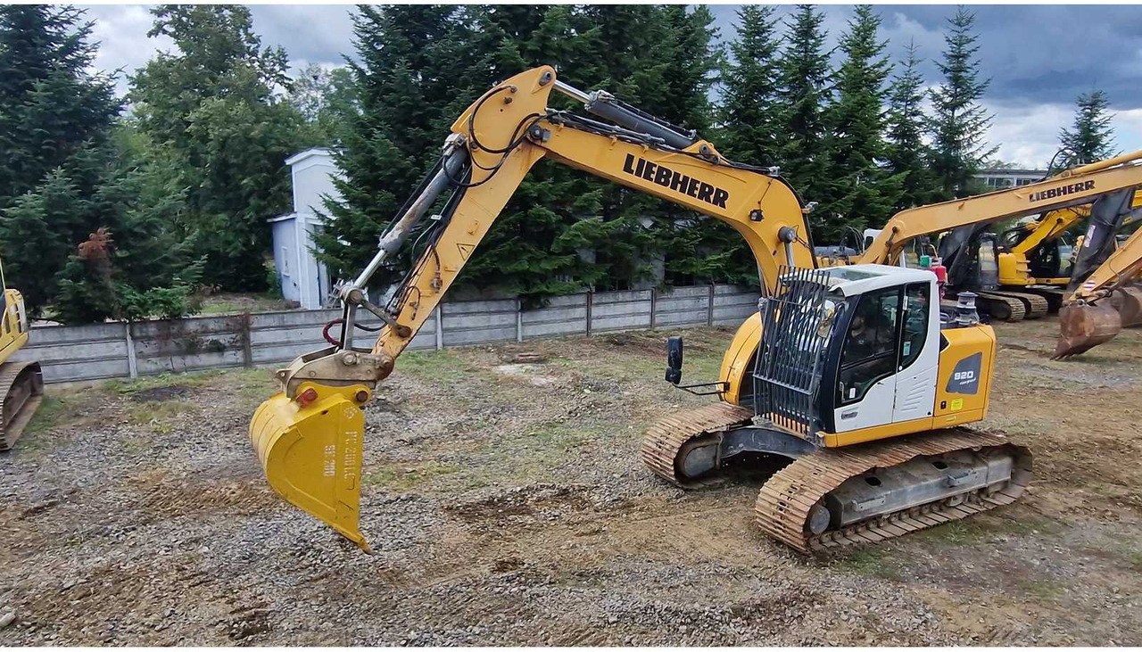 LIEBHERR R920 - 크롤러 굴삭기 : 사진 4 LIEBHERR R920 - 크롤러 굴삭기 : 사진 4