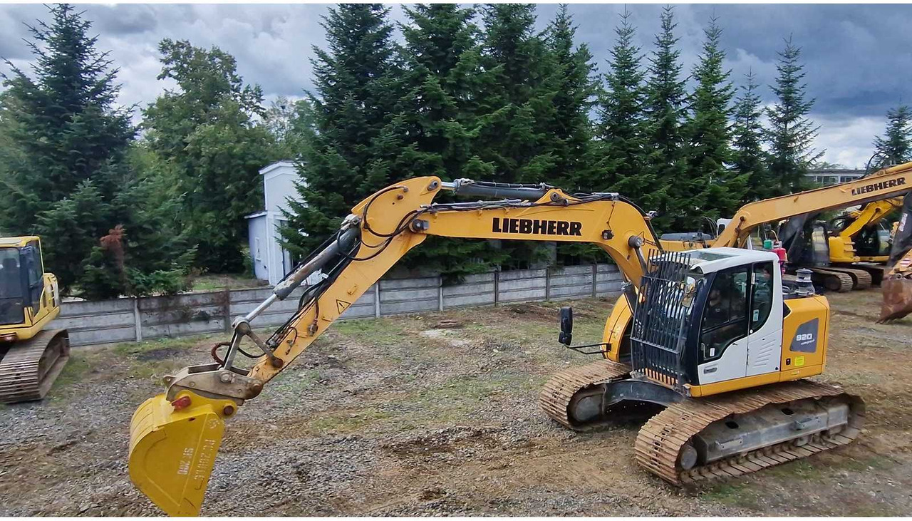 LIEBHERR R920 - 크롤러 굴삭기 : 사진 3 LIEBHERR R920 - 크롤러 굴삭기 : 사진 3