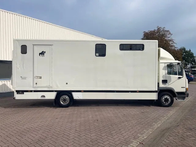 DAF LF 45.130 CLEAN HORSES NL-TRUCK - 말 수송 트럭 : 사진 5 DAF LF 45.130 CLEAN HORSES NL-TRUCK - 말 수송 트럭 : 사진 5