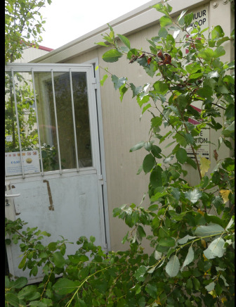 Container sanitaire - 건설 컨테이너 : 사진 1 Container sanitaire - 건설 컨테이너 : 사진 1