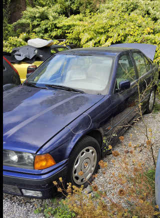 Bmw - 차량 : 사진 2 Bmw - 차량 : 사진 2