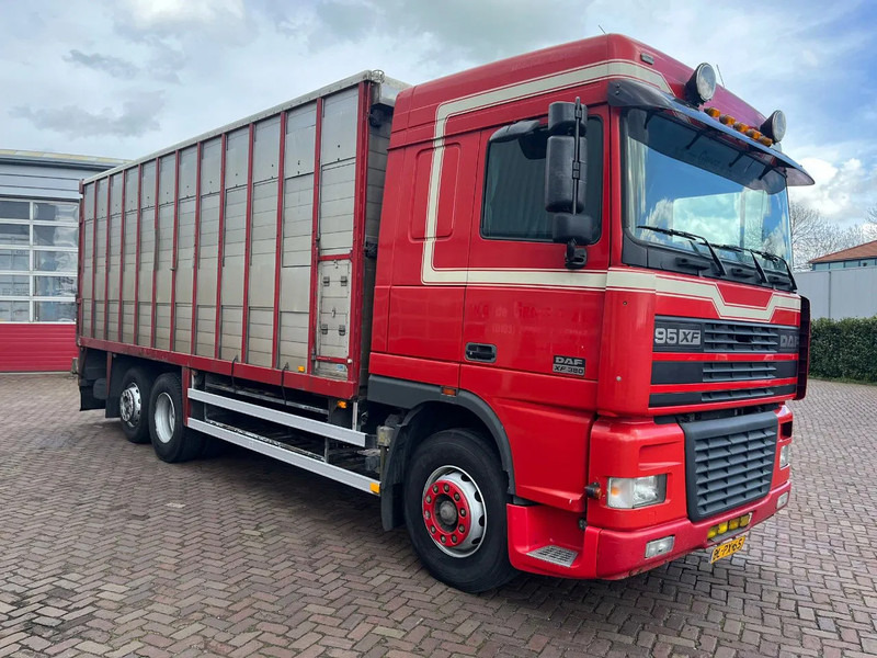 DAF XF FAR 95XF.380 EURO 2 - 가축 트럭 : 사진 1 DAF XF FAR 95XF.380 EURO 2 - 가축 트럭 : 사진 1