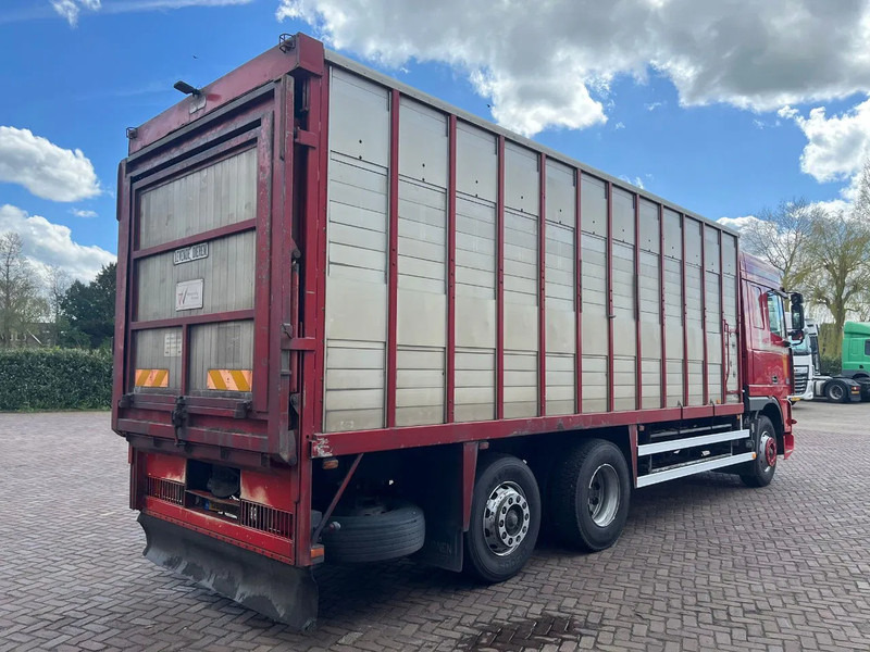 DAF XF FAR 95XF.380 EURO 2 - 가축 트럭 : 사진 4 DAF XF FAR 95XF.380 EURO 2 - 가축 트럭 : 사진 4